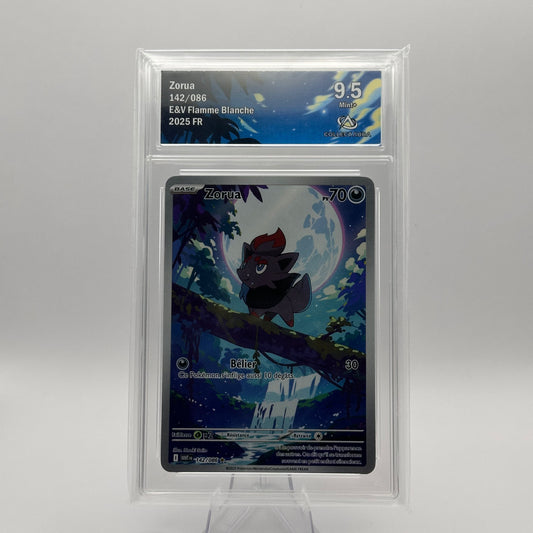 KoomaCards Cartes à l'unité Zorua AR 142 - CollectAura 9.5 - Flamme Blanche
